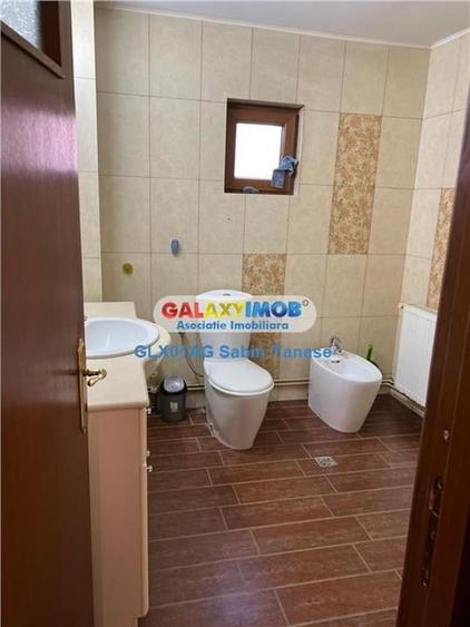 de inchirere  vila  Stefanesti Lidl  ....curte amenajata teren 450 mp - 9