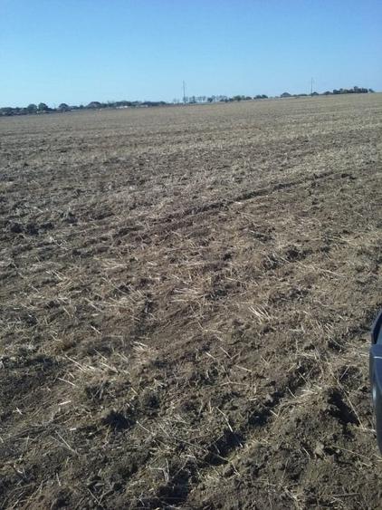 Exclusiv! Teren extravilan 10.000 mp - Cumpana - Malul canalului (Cod E3) - 8