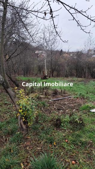 Casa Baicoi caramida 135 mp - 8