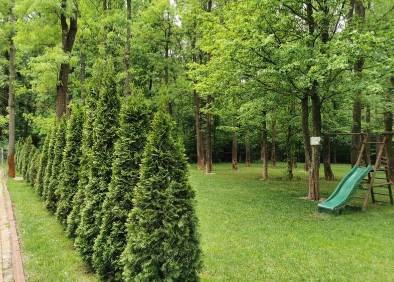 Pipera/Scoala Americana/ Garsoniera 45 mp/Parcare - 7