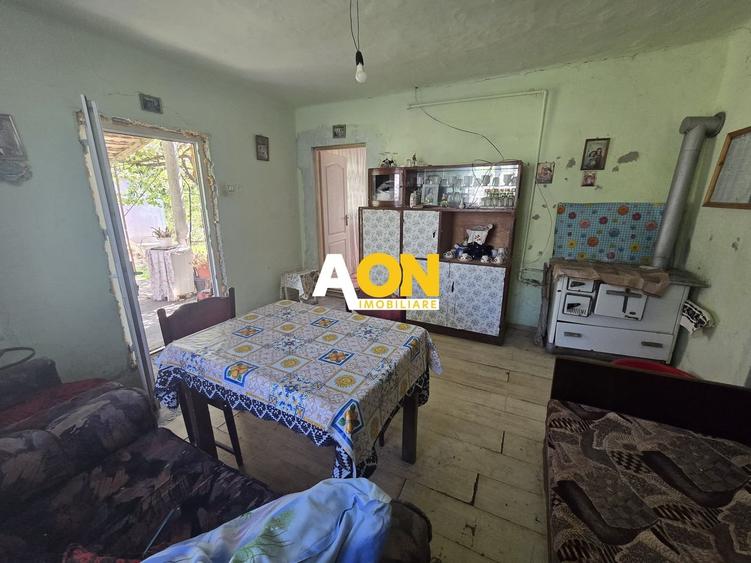 Comision 0%! Casa 3 camere Gura Ariesului, 1500mp Teren - 7