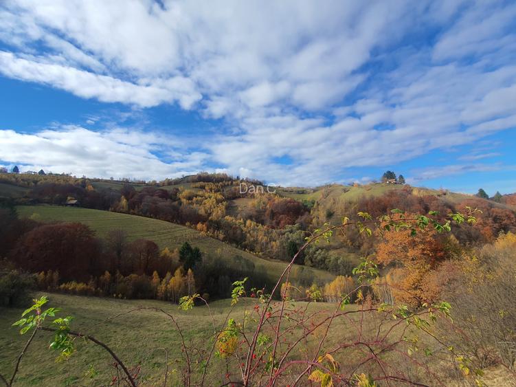 Teren Poiana Marului 4 euro/mp pretabil investitie