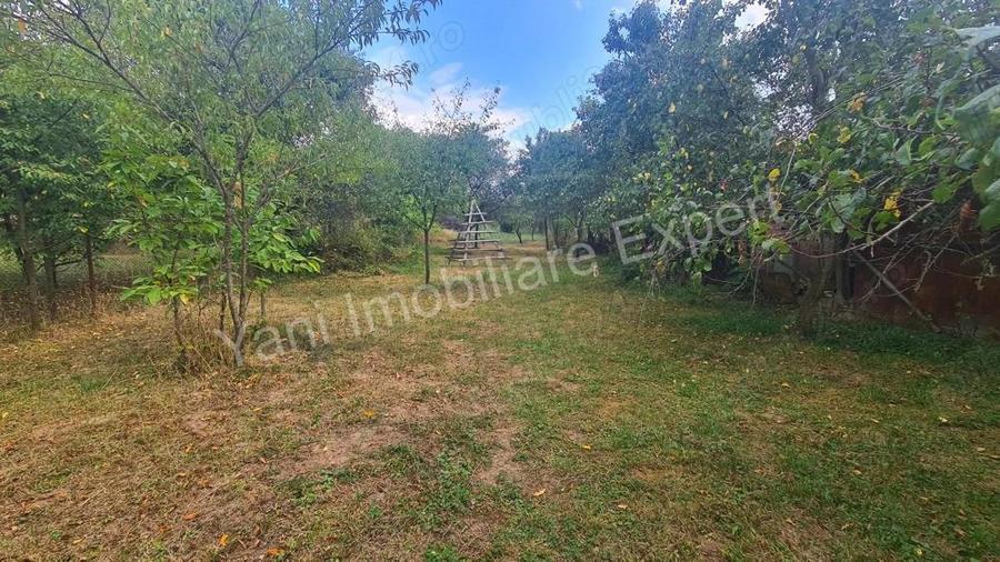 Casa batraneasca + 1462 mp teren de vanzare in Curtea de Arge?. - 1