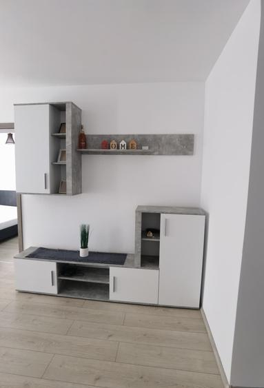 Apartament cu 2 camere de inchiriat in Sibiu Ansamblul Magnolia - 9