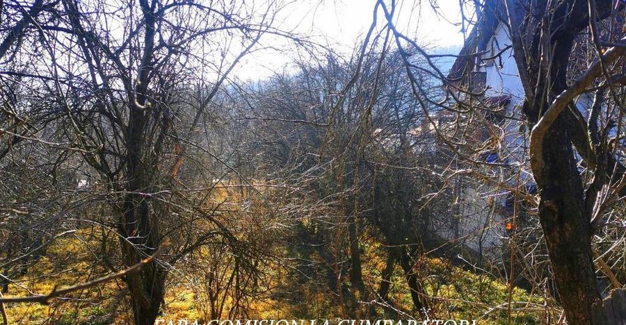 CALIMANESTI, TEREN 1231 MP - 11