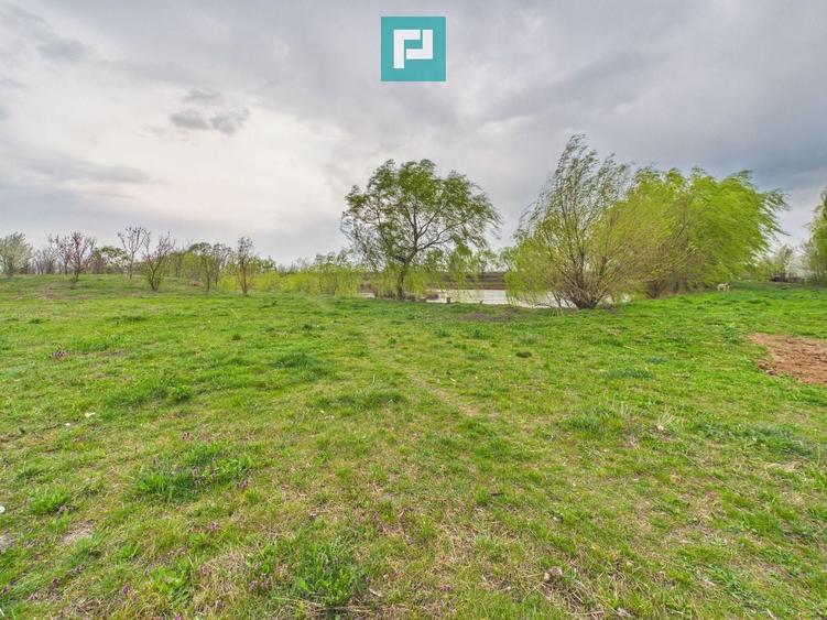 Teren 1 ha cu baltă populată – Alioș (Mașloc) - 4