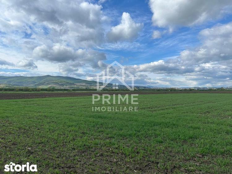 TEREN INTRAVILAN 1600 mp - OARDA - 1