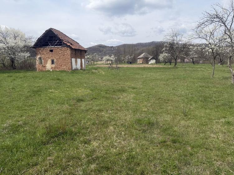 Vand casa batraneasca si teren - 7