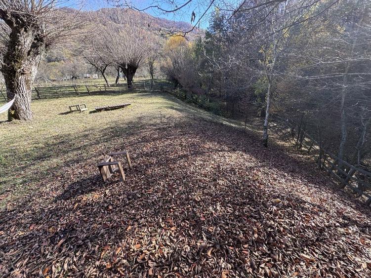 Teren intravilan Bradulet (Ungureni) , imprejmuit, langa padure - 7