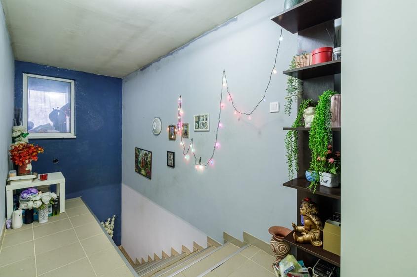 Casa 3 camere Dragomiresti principala - 9