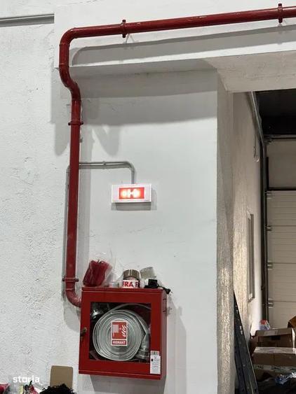 Hala 1.100 mp Zona premium, Baia Mare - 4