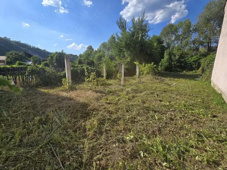 Re?i?a, casa cu teren 700 mp, pe malul Barzavei in cartierul Calnic - 3