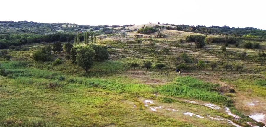 Vând Teren Extravilan Beceni, Jud. Buzău 63.000 mp - 3