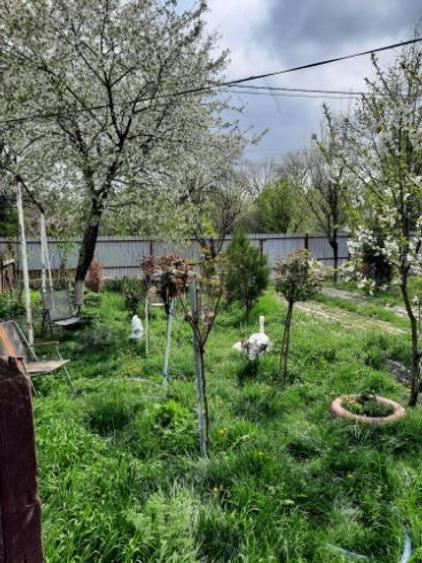 Vând casă  / curte  - 8