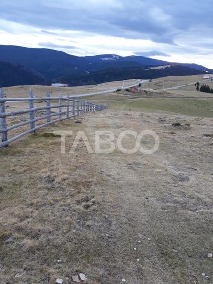 Teren extravilan de vanzare 3235 mp in Paltinis Sibiu - 2