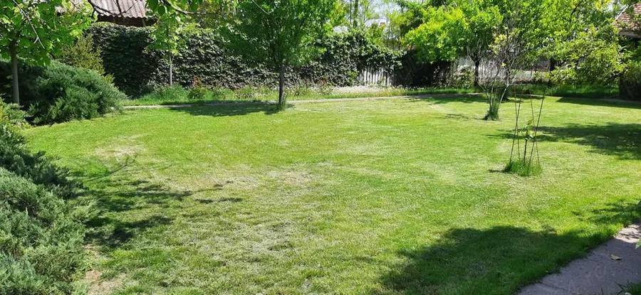 Case + teren 3000mp. de vanzare - 4