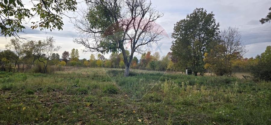 Teren generos cu potential în comuna Silindia, judetul Arad - 7