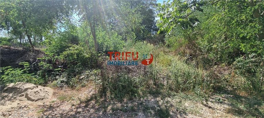 Teren intravilan de vanzare pe Valea Popii 1250mp Teren intravilan de vanzare pe Valea Popii 1250mp