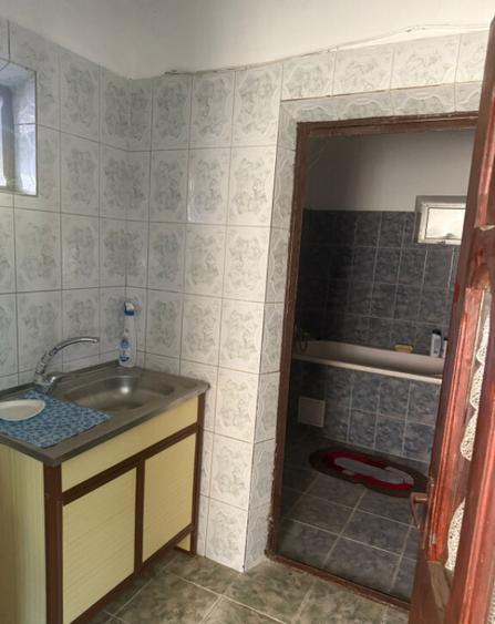 Casa 133 mp utili, 3300 mp teren, Ciutura - 4