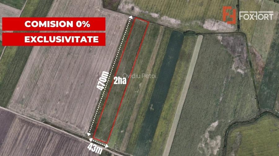 COMISION 0% Teren extravilan agricol, Sacalaz - 20.000 mp