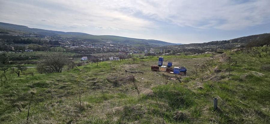 Oportunitate: Teren intravilan cu acces la asfalt Baciu, SunGarden - 8