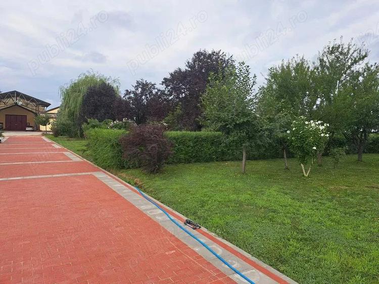 Hala 4.000 mp si apartament 120 mp GRATIS cumperi doar terenul de 18.500 mp - 2