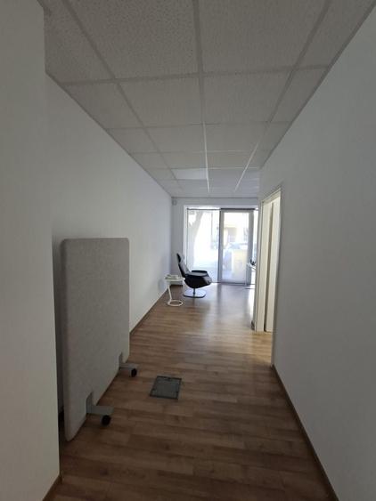 Birou, de 160.19000244141 mp, în Elisabetin