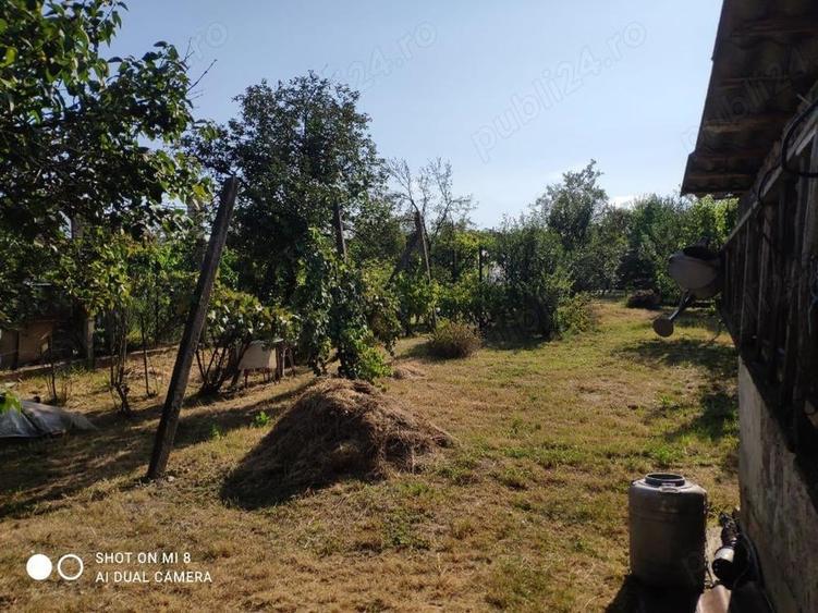 Casă cu 3 camere în Cantemir