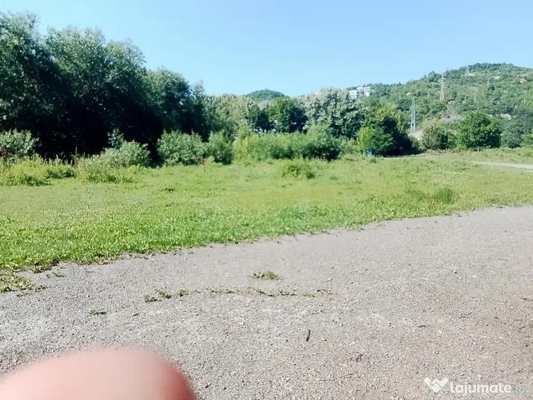 teren extravilan Luna de Sus Cluj Floresti - 3