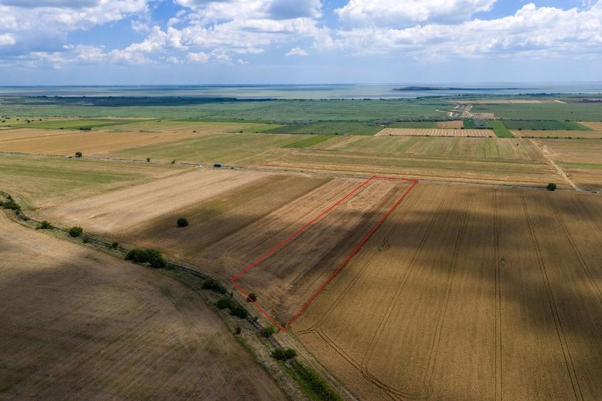 Teren agricol extravilan de 30000 mp, în Valea Nucarilor
