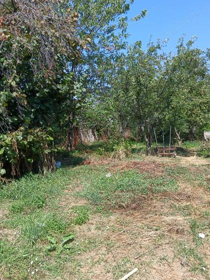 Casa de vanzare in Baicoi Prahova - 7