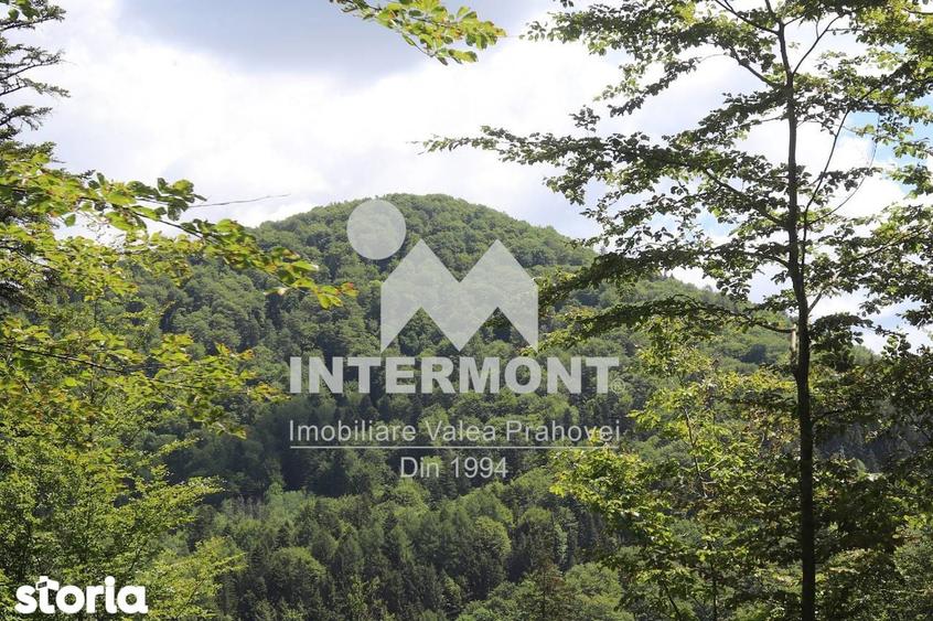 Teren Sinaia Zona Centrala, 500mp, Vedere Montana, Toate Utilita?ile - 4
