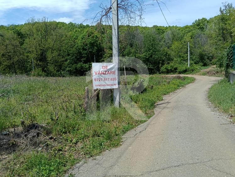 intravilan Tiparesti, relaxare aproape de padure - 7