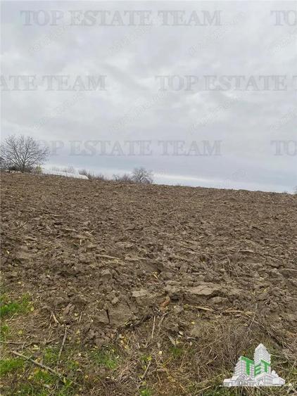 Teren 12223 mp in Prahova - 1