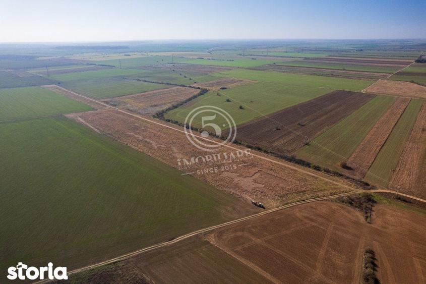 Ocazie- Teren Intravilan de Vanzare- Peris Snagov- Doar 10 euro/mp - 4