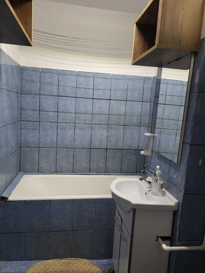Inchiriez apartament cu 1 camera in Nufarul - 3