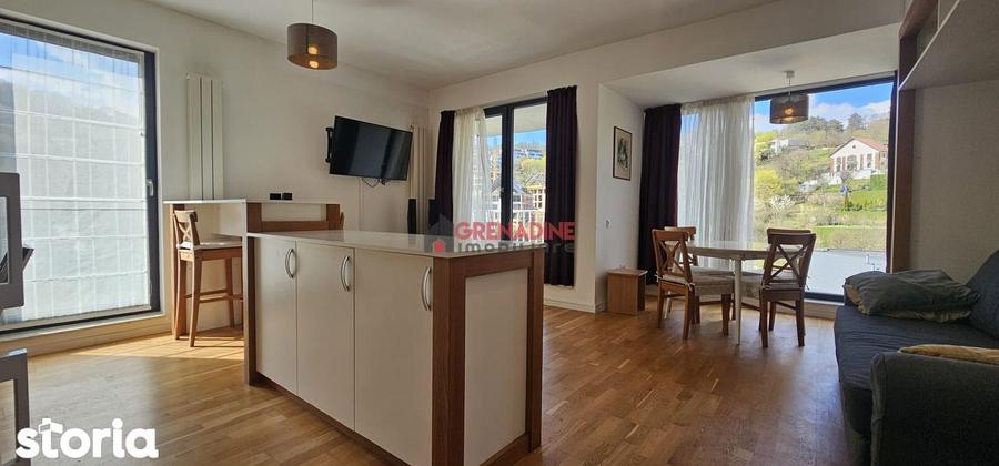 Apartament 2 camere - Tip Studio - Dupa Iniste - Cod intern 2020 - 6