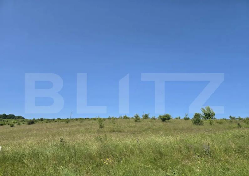 Teren intravilan construibil in Salicea - 4