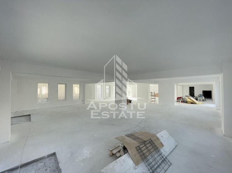 Spatiu comercial 238 mp, zona Lipovei , artera circulata - 2