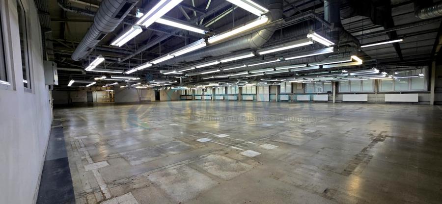 Hala de inchiriat in Marghita pentru productie si depozitare, Bihor - 3
