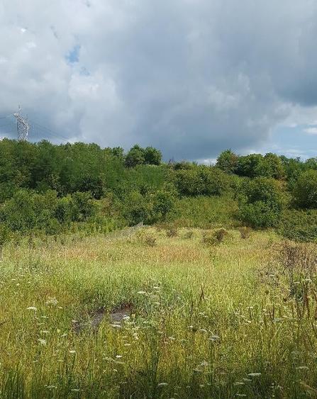 Parava, sat Dragusani, teren 4800mp, la asfalt - 9