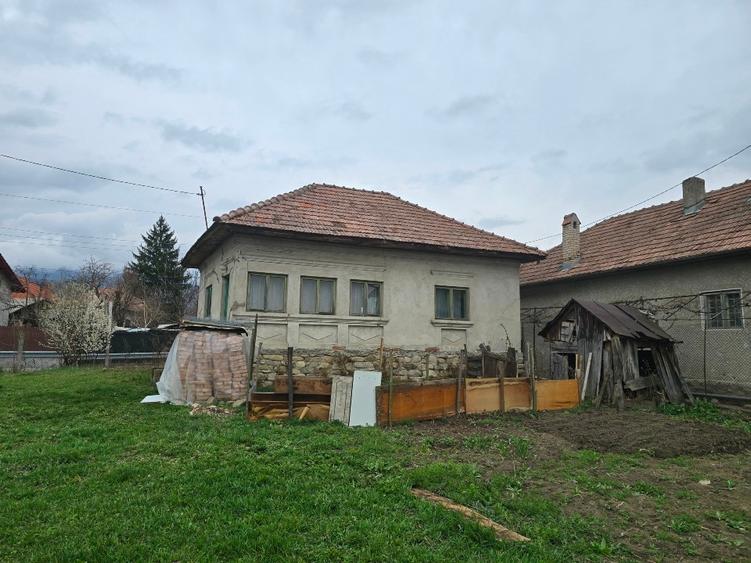 Teren si casa batraneasca Calimanesti - 4