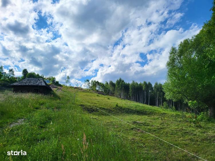 Teren 3 ha Moieciu de Jos | Drumul Carului I Panorama | Utilitati - 1
