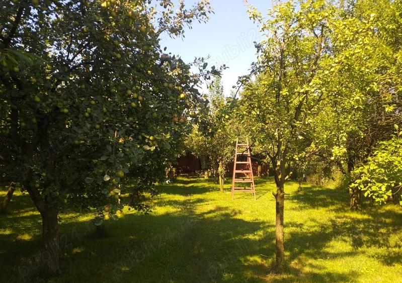 Teren Intravilan Vanzare 1400 mp. Alba Micesti deschidere 16m. Toate Utilitatile - 2