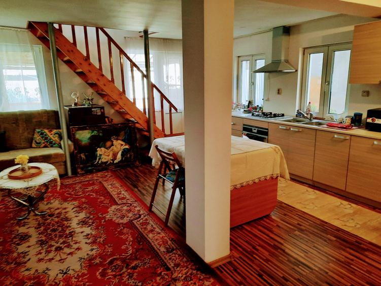 Ilia, proprietate deosebita - 5