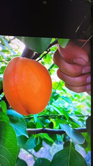 Vand casa in constructie, - 7