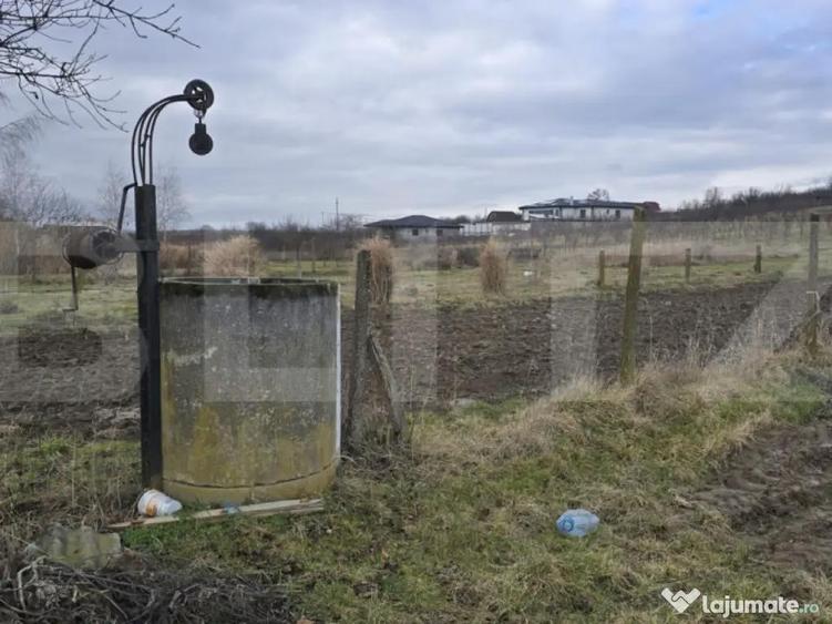 Teren intravilan - livada si vie- 20 ari - Viile SATU MARE - 1