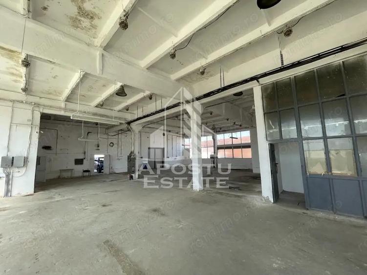 Hala depozitare sau productie, 470 mp, Zona Buziasului - 2
