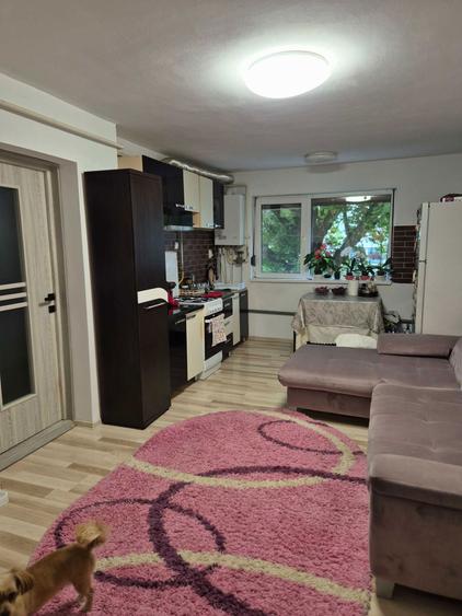De vanzare -apartament cu 1 camera - 5