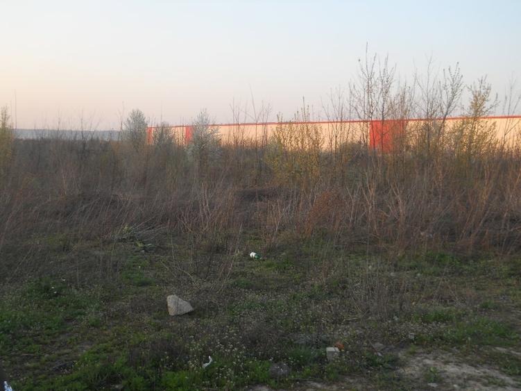 Vanzare teren 13000 mp Baneasa - Soseaua Odai - 4